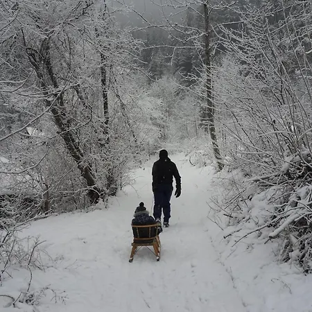 公寓 费瑞恩沃宁沃尔德公寓