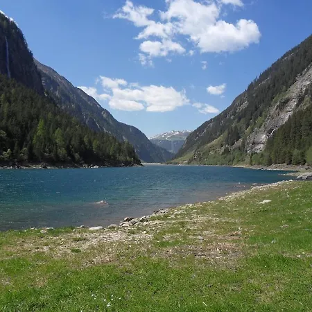 Walder Mayrhofen