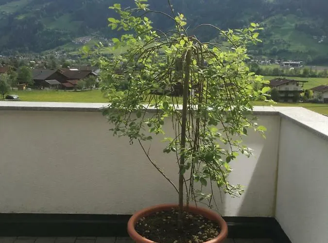 Walder Апартаменти *