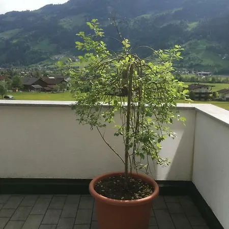 Walder Appartamento *